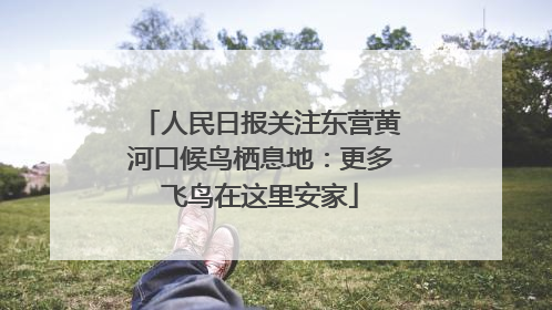 人民日报关注东营黄河口候鸟栖息地：更多飞鸟在这里安家