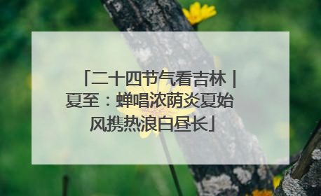 二十四节气看吉林｜夏至：蝉唱浓荫炎夏始 风携热浪白昼长