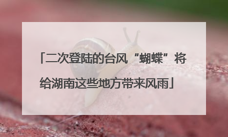 二次登陆的台风“蝴蝶”将给湖南这些地方带来风雨