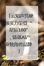 云知声凭硬核实力荣登“星辰100”，铸就AI产业独角兽品牌