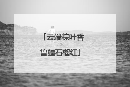 云端粽叶香 鲁疆石榴红