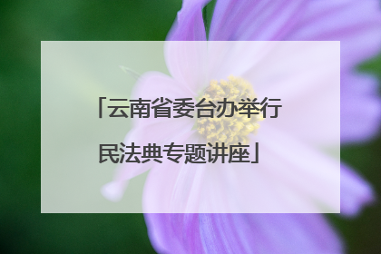 云南省委台办举行民法典专题讲座