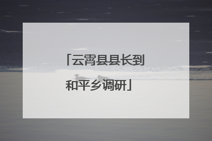 云霄县县长到和平乡调研