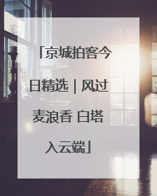 京城拍客今日精选｜风过麦浪香 白塔入云端
