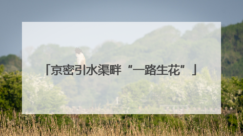 京密引水渠畔“一路生花”