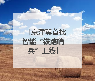 京津冀首批智能“铁路哨兵”上线