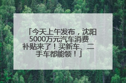 今天上午发布，沈阳5000万元汽车消费补贴来了！买新车、二手车都能领！