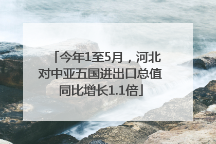 今年1至5月，河北对中亚五国进出口总值同比增长1.1倍