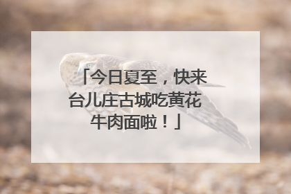 今日夏至，快来台儿庄古城吃黄花牛肉面啦！