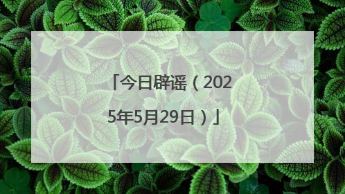 今日辟谣（2025年5月29日）