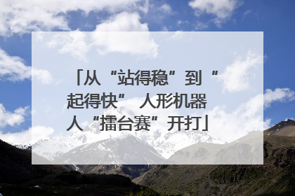 从“站得稳”到“起得快” 人形机器人“擂台赛”开打