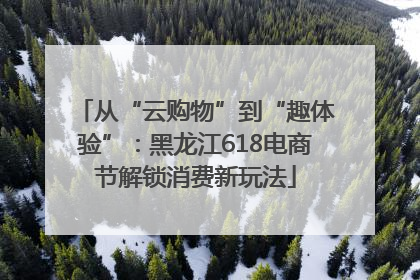从“云购物”到“趣体验”：黑龙江618电商节解锁消费新玩法