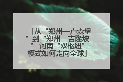 从“郑州—卢森堡”到“郑州—吉隆坡” 河南“双枢纽”模式如何走向全球