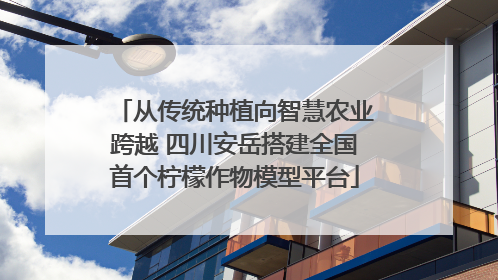 从传统种植向智慧农业跨越 四川安岳搭建全国首个柠檬作物模型平台