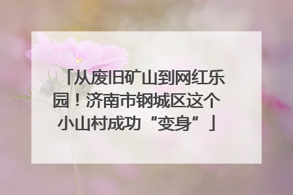 从废旧矿山到网红乐园！济南市钢城区这个小山村成功“变身”