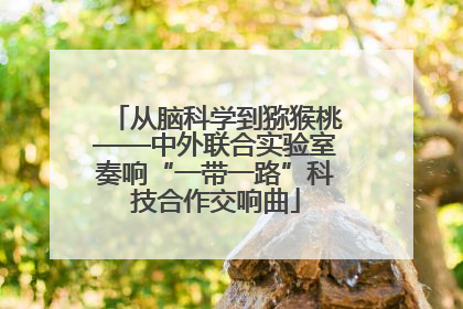 从脑科学到猕猴桃——中外联合实验室奏响“一带一路”科技合作交响曲