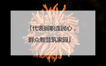 代表履职连民心，群众智慧筑家园