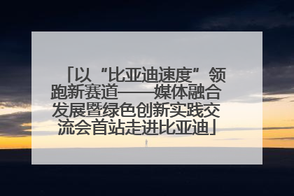以“比亚迪速度”领跑新赛道——媒体融合发展暨绿色创新实践交流会首站走进比亚迪