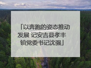 以奔跑的姿态推动发展 记安吉县孝丰镇党委书记沈强