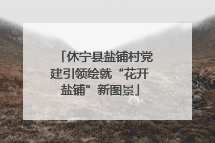 休宁县盐铺村党建引领绘就“花开盐铺”新图景