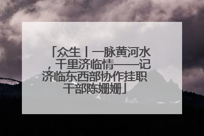 众生丨一脉黄河水，千里济临情——记济临东西部协作挂职干部陈姗姗