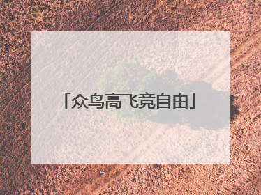 众鸟高飞竞自由