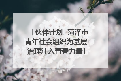 伙伴计划│菏泽市青年社会组织为基层治理注入青春力量