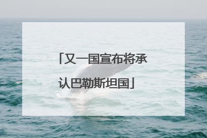 又一国宣布将承认巴勒斯坦国