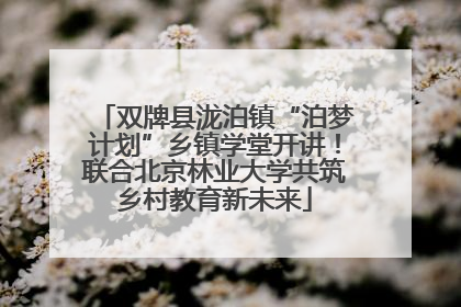 双牌县泷泊镇“泊梦计划”乡镇学堂开讲！联合北京林业大学共筑乡村教育新未来