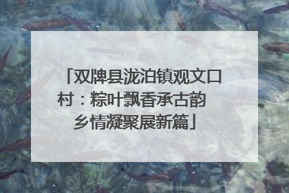双牌县泷泊镇观文口村：粽叶飘香承古韵 乡情凝聚展新篇