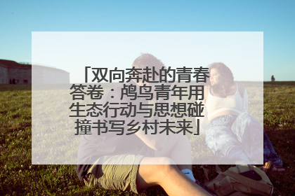 双向奔赴的青春答卷：鸬鸟青年用生态行动与思想碰撞书写乡村未来