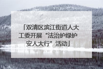 双清区滨江街道人大工委开展“法治护绿护安人大行”活动