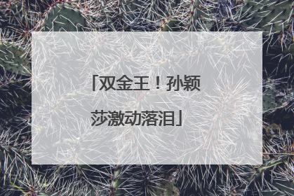 双金王！孙颖莎激动落泪