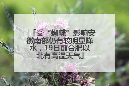 受“蝴蝶”影响安徽南部仍有较明显降水，19日前合肥以北有高温天气