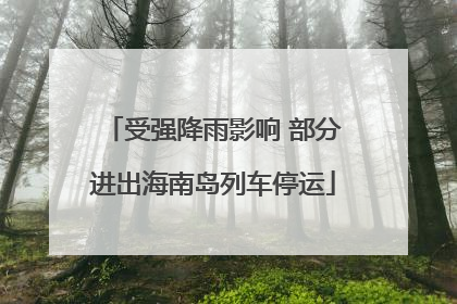 受强降雨影响 部分进出海南岛列车停运