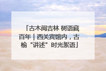 古木阅吉林 树语藏百年｜西关宾馆内，古榆“讲述”时光絮语