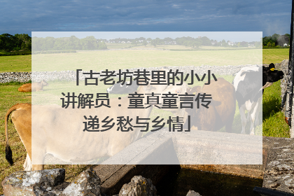 古老坊巷里的小小讲解员：童真童言传递乡愁与乡情