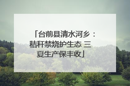 台前县清水河乡：秸秆禁烧护生态 三夏生产保丰收