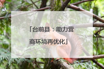 台前县：助力营商环境再优化