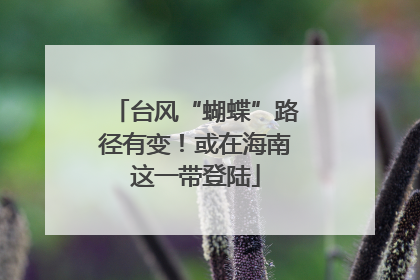 台风“蝴蝶”路径有变！或在海南这一带登陆