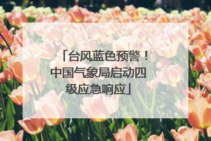 台风蓝色预警！中国气象局启动四级应急响应