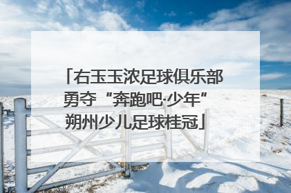 右玉玉浓足球俱乐部勇夺“奔跑吧·少年”朔州少儿足球桂冠