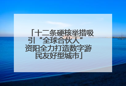十二条硬核举措吸引“全球合伙人” 资阳全力打造数字游民友好型城市