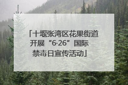 十堰张湾区花果街道开展“6·26”国际禁毒日宣传活动