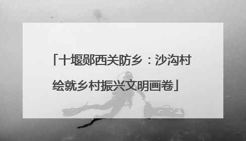 十堰郧西关防乡：沙沟村绘就乡村振兴文明画卷