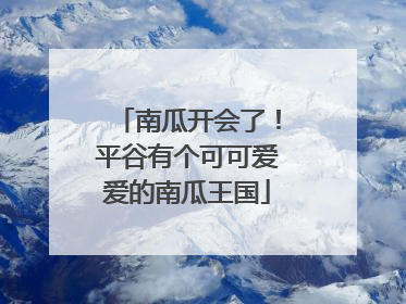 南瓜开会了！平谷有个可可爱爱的南瓜王国