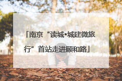 南京“读城•城建微旅行”首站走进颐和路
