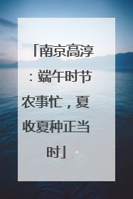 南京高淳：端午时节农事忙，夏收夏种正当时