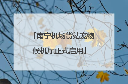 南宁机场货站宠物候机厅正式启用