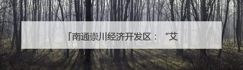 南通崇川经济开发区：“艾”意满满 一举高“粽”